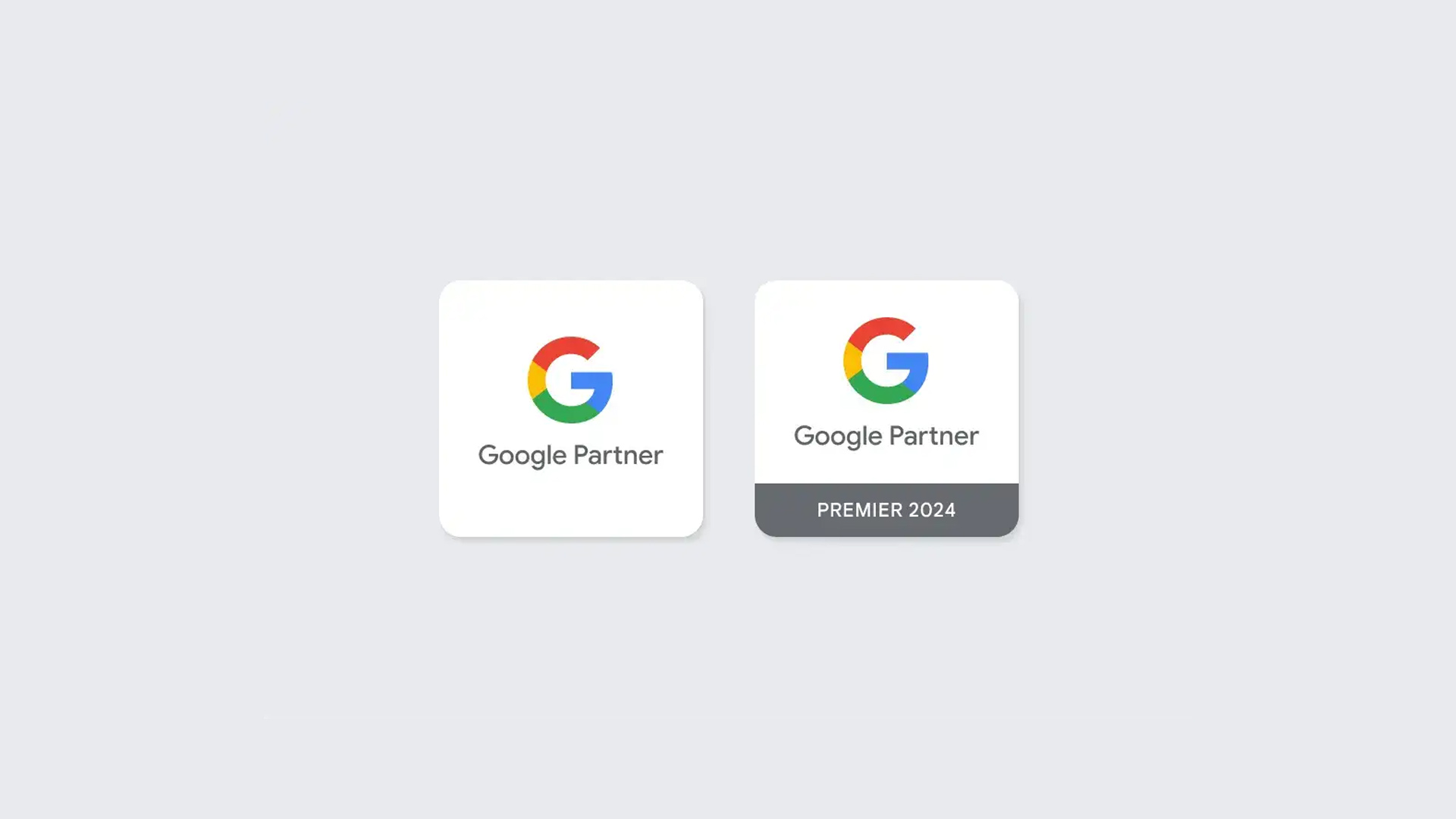 Google Ads Partner